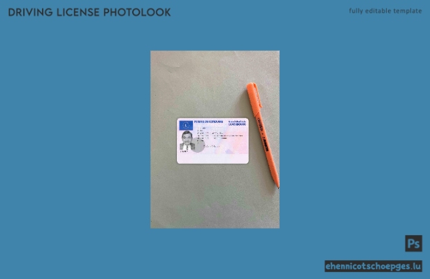 Beispielvorschau für die Fotoprüfung des luxemburgischen Führerscheins